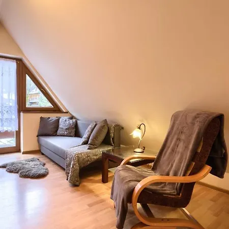Golden Zakopane- One Bedroom - Mountain View&b14 * Zakopane