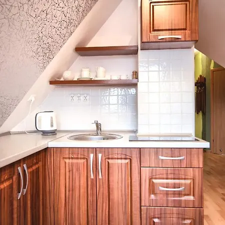 Golden Zakopane- One Bedroom - Mountain View&b14 Zakopane